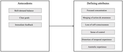 Fostering flow experiences at work: a framework and research agenda for developing flow interventions